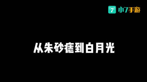 白月光在照耀你才想起她的好