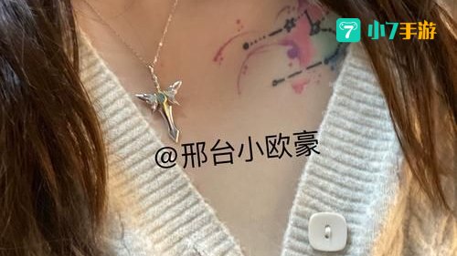 春哥甲是什么