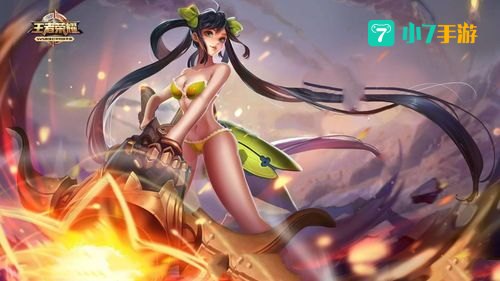 王者女英雄去掉所有服装